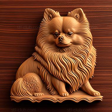 3D model st Pomeranian dog (STL)